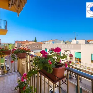 https://babbai-giommi.hotelsalgherosardinia.com