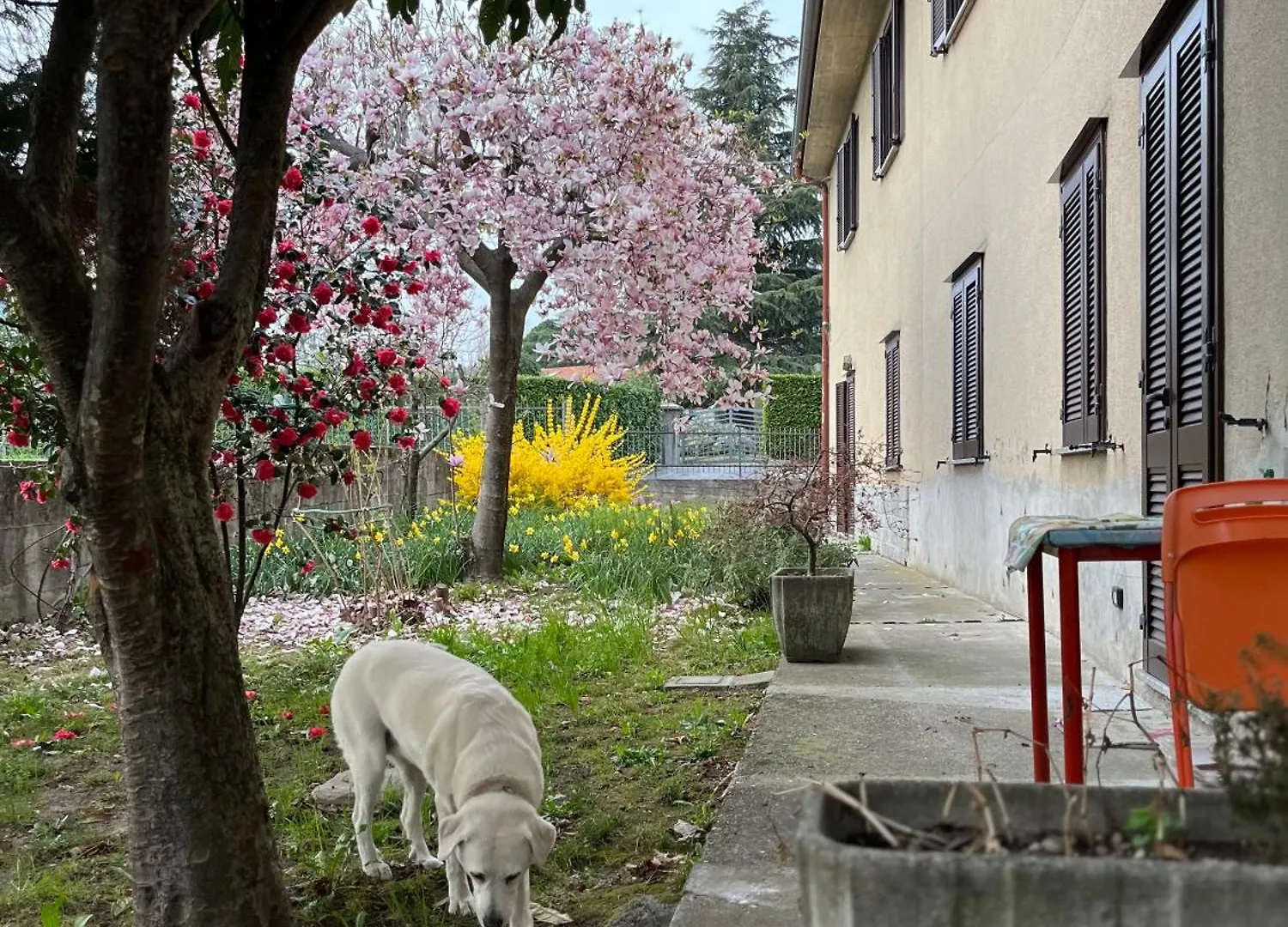 Bed & Breakfast Single Room Il Cortile Como da Manu Maggy&Hope Italia